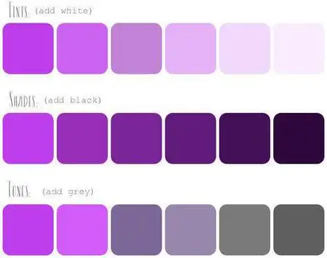 鲜艳:即正纯,高纯度的紫色,不加黑,白,灰的纯正紫色从纯度看,鲜艳与柔