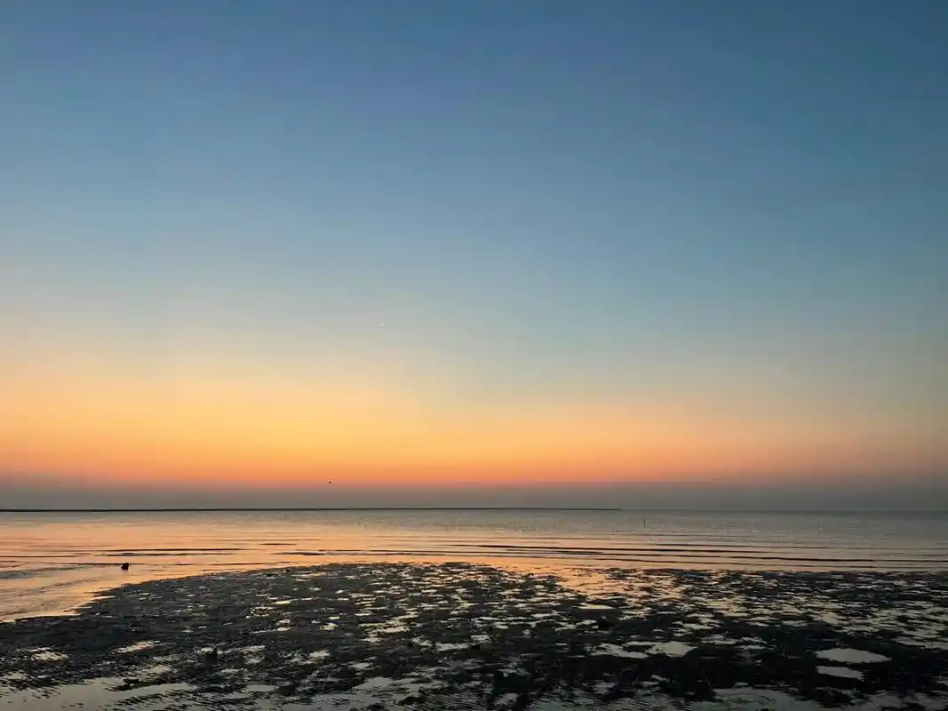 日出92 #这个夏天 #天津 #海边日出 和好朋友 去看凌 - 抖音