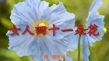 一首经典老歌女人四十一朵花扣人心弦好听级了