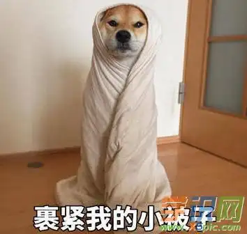 裹紧我的小被子表情包