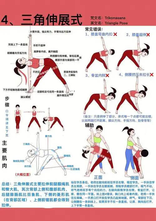 瑜伽插画三角伸展式体式精讲辅助肌肉篇