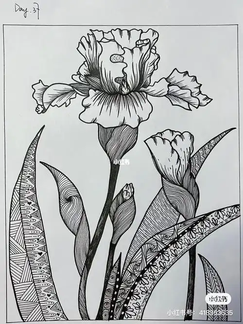 控笔练习学画画打卡#画画  #线描  #控笔训练  #控笔练习打卡