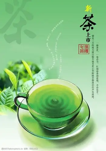 关键词:信阳毛尖招贴海报 毛尖 春茶 茶类招贴 茶类海报 绿茶 设计