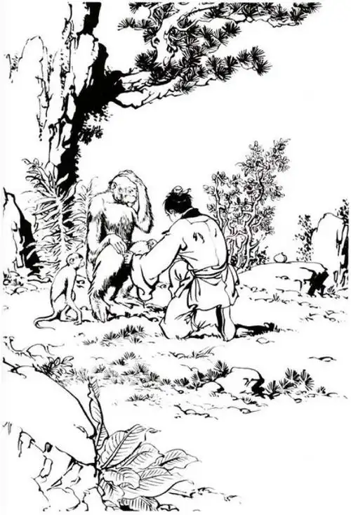 《倚天屠龙记》经典插图#,回忆一下吧[40p]