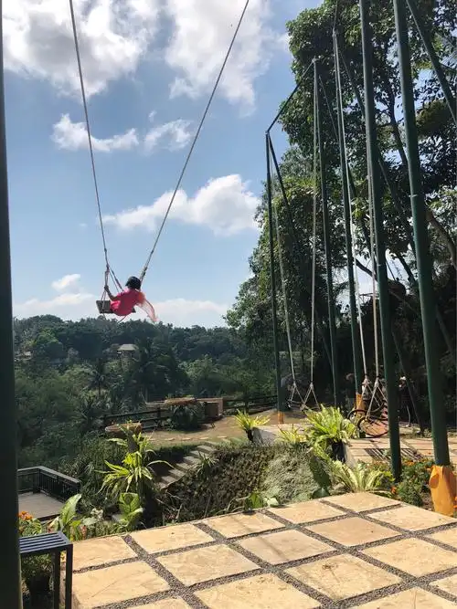 巴厘岛之旅～(第六篇)20181010网红空中大秋千&丛林鸟巢