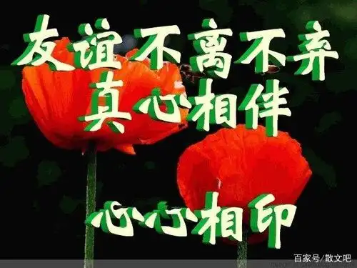 一路走来,有你真好