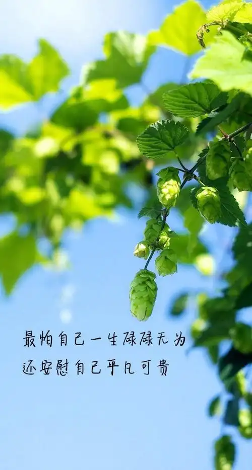 早安励志句子图片181127:多为成功找方法,别为失败找理由