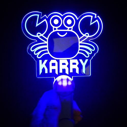 王俊荧光tfboys应援灯牌演唱会助威道具粉色后援荧光棒