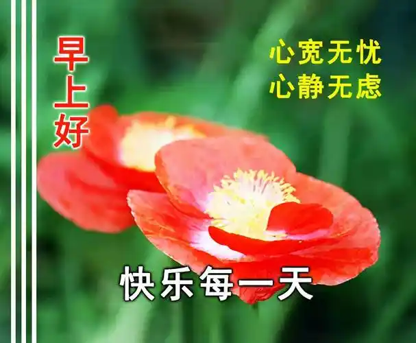 原创早上好祝福动画表情动态图最美夏日清晨早上好问候语