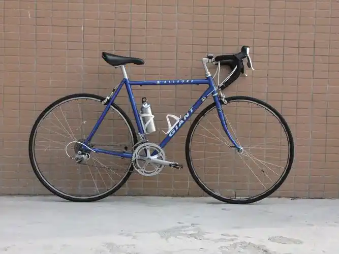 捷安特钢架公路giant allegre 点击图片放大