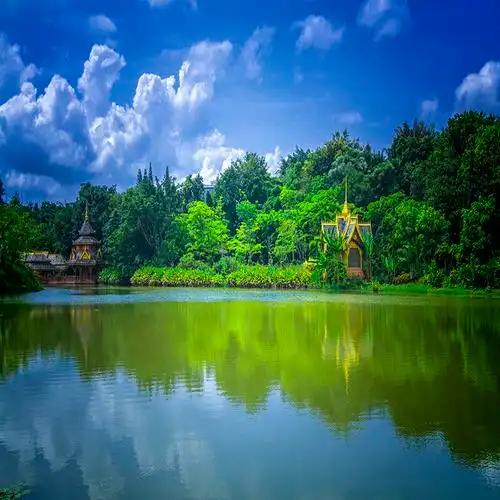 直播背景布新抖音主播直播间山水竹林室外风景立体装饰墙背景布3d快手