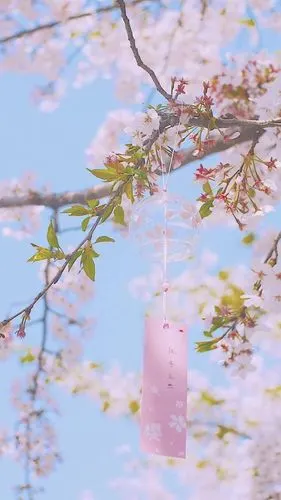 小清新,文艺,可爱,风景,流行