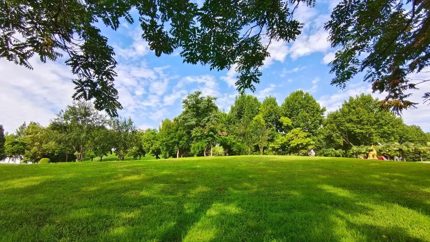 周末快乐!#蓝天白云绿草地 #蓝天白云晴空万里 #感受大自然 - 抖音