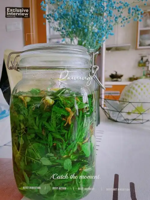 单亲妈妈笔记自制薄荷驱蚊水