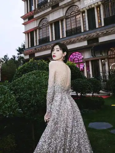 冬夜里的璀璨时刻 女明星红毯礼服盘点