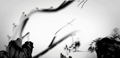 自制动态二维码