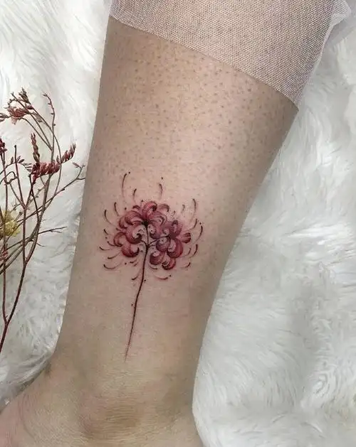 小腿彼岸花纹身纹身图片_腿部脚部小清新植物纹身图案