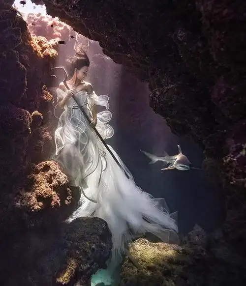 摄影师水下拍摄美女与鲨鱼和谐共舞