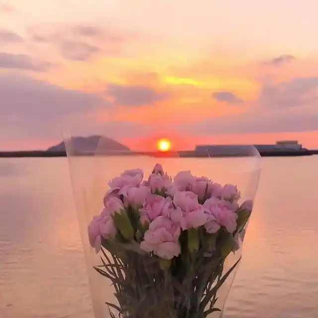 一些超美超治愈的朋友圈背景图