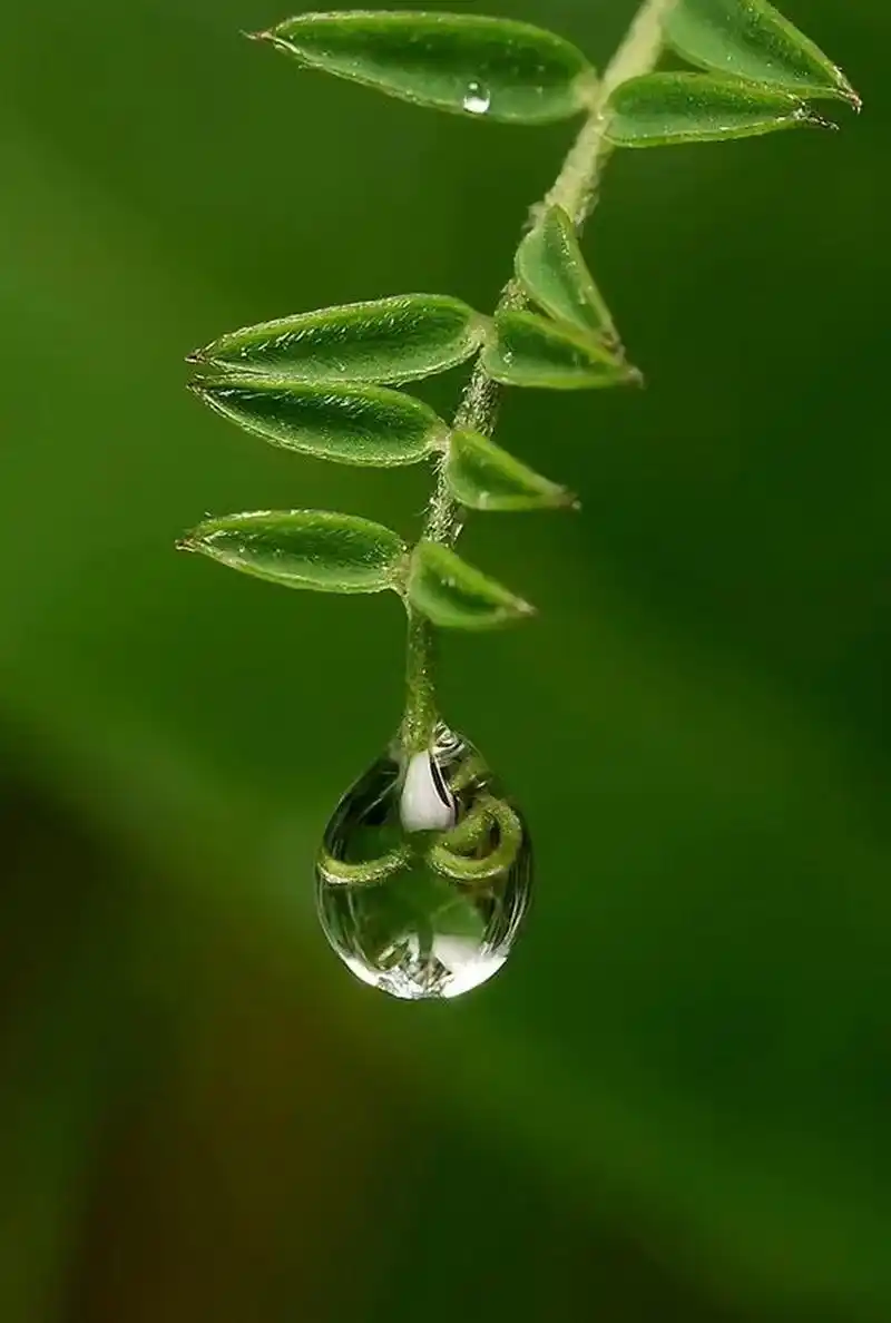 手机护眼 锁屏壁纸 #动态连更挑战