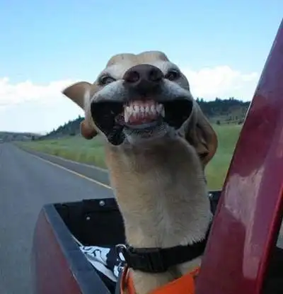 我那消魂的笑容足以颠倒众生外卖服务水准超五星中国电信的强力胶布