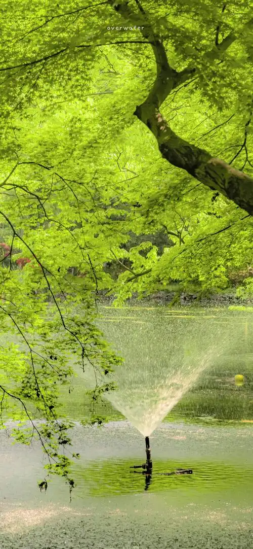 夏天的风 #风景壁纸##小清新壁纸##手机壁纸