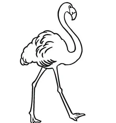 火焰鸟手绘简笔画