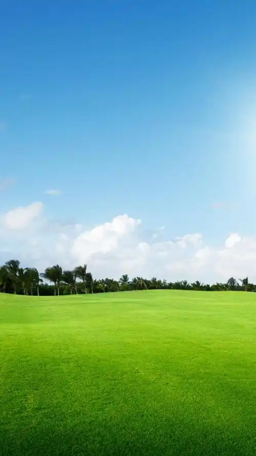 一组护眼壁纸,喜欢点赞关注吧.