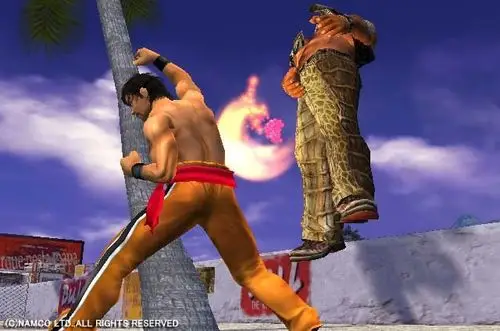 3d格斗大作《铁拳4》游戏画面(5)