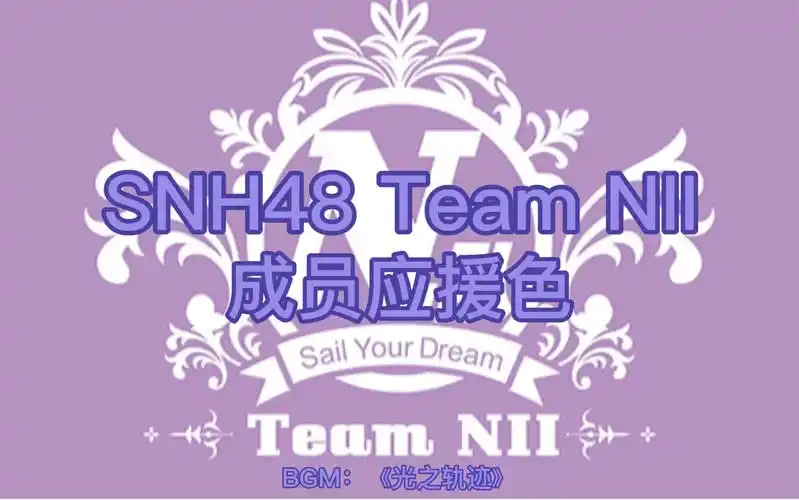 【snh48 teamnii】现役成员应援色