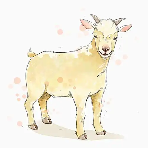 插画,描绘,山羊