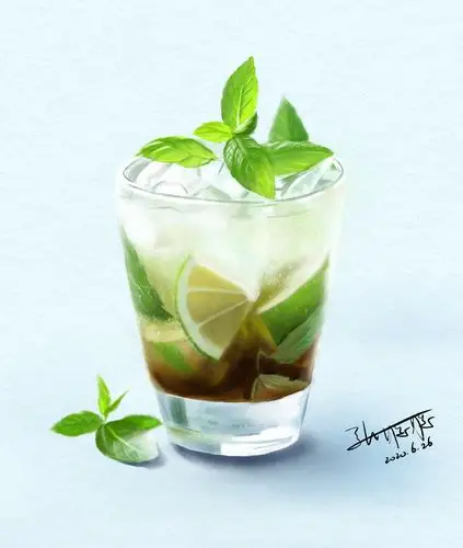 一杯mojito|插画|创作习作|乐夏ing - 原创作品 - 站酷 (zcool)