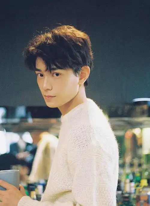 长相浓眉大眼五官精致的男明星(脸凹陷也很帅的男明星)(26)