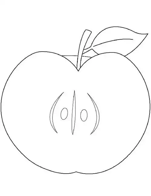 切开的苹果简笔画图片