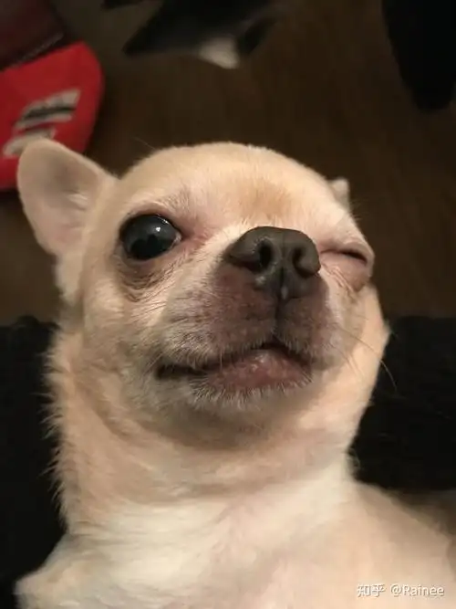 600_800竖版 竖屏