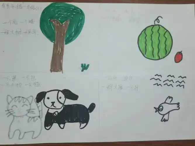 大小多少,高低快慢,对比学习真有趣!——十二中一年(4)班读写绘