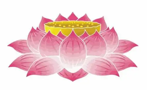 佛教莲台共有十二品,为啥如来仅坐九品?那十二品莲台是谁的?