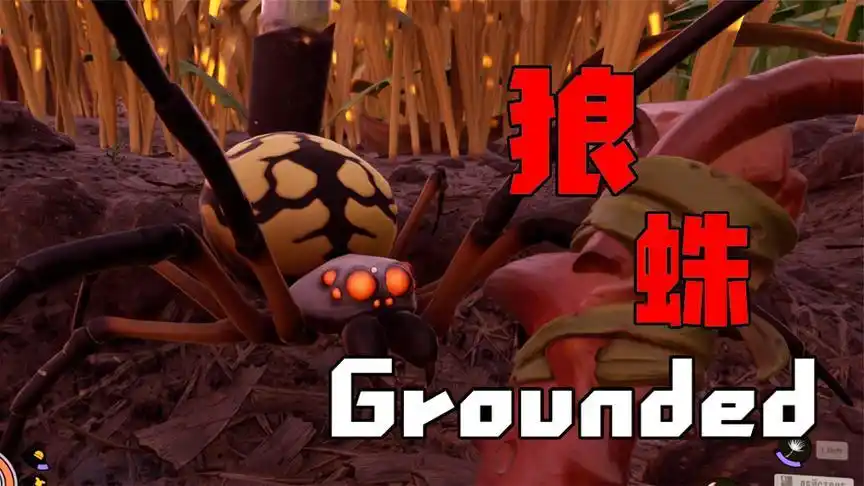 【天骐和茶茶】花园生存02 大蜘蛛让我吓尿了