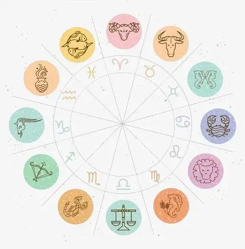 星盘中十二宫位代表的的含义,财运好不好,查看一下星盘就知道
