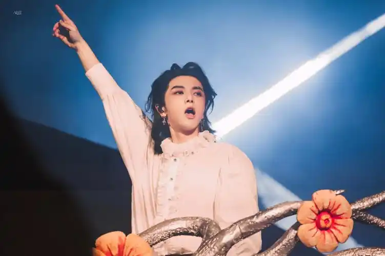 对不起飒飒,对不起华晨宇,因为海鸥哥哥魅力太大了,所以我爱上了海鸥