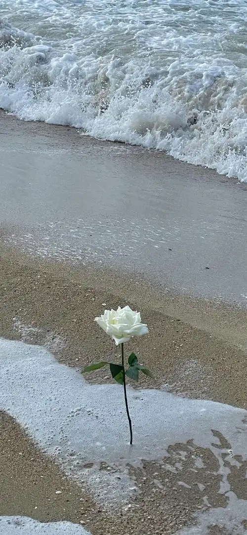 朋友圈背景图##朋友圈分享##朋友圈文案##文案##情绪