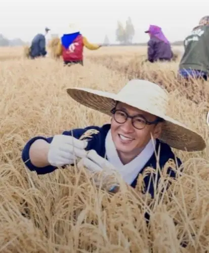 周杰捐赠的2万斤大米正式到位做完了也就心安了