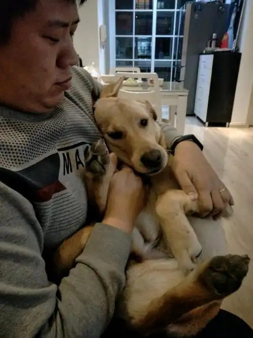 那个婆婆不让她养狗,因为婆婆欺负她.地位堪忧!