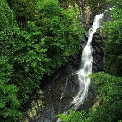 你走了,我应该唱《分手快乐》,还是唱《祝你幸福》
