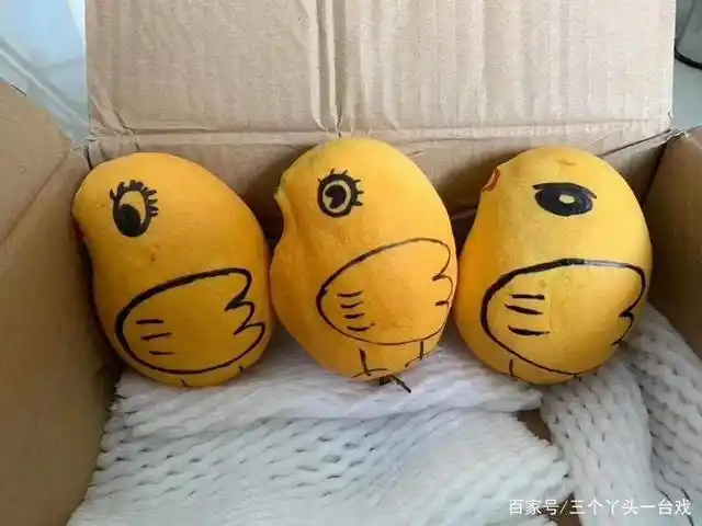 芒果上作画,大家可以试试