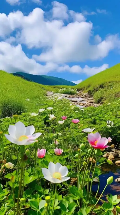 自然风景 #唯美意境 # - 抖音