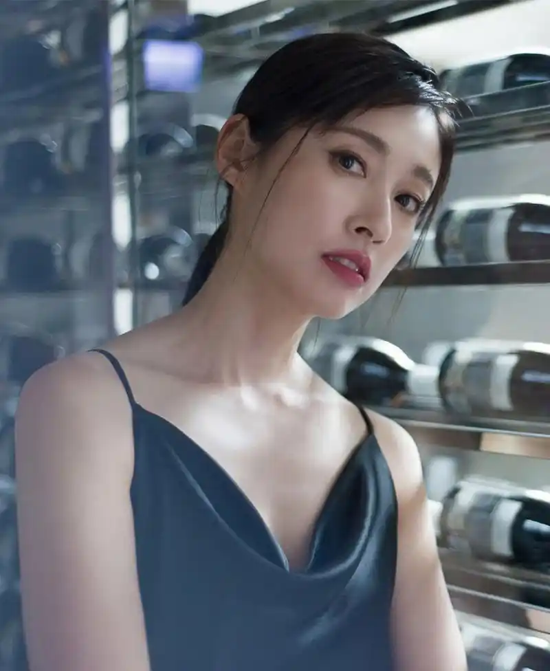 2007年3月,田中千绘原本计划返回日本,却意外地被导演