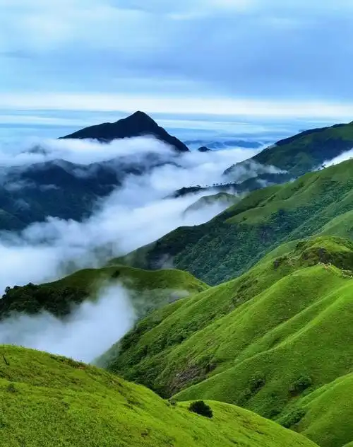 青山绿水云雾山中