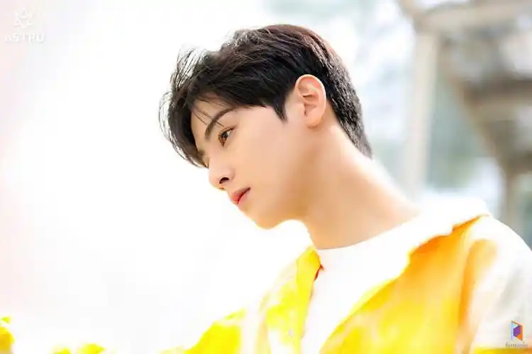 车银优 车银优 车银优