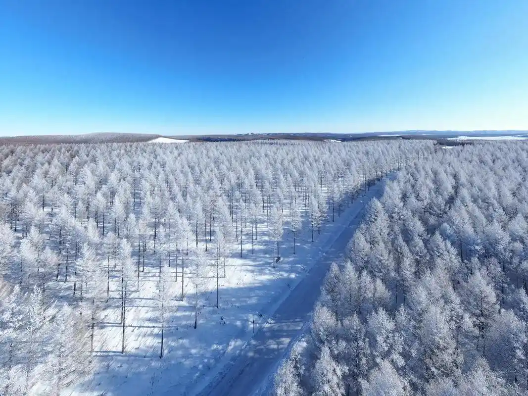 冬天才刚开始.#林海雪原 #治愈系风景 - 抖音